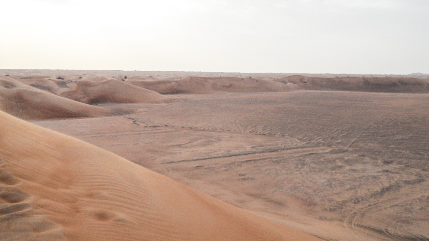 Woestijn Dubai