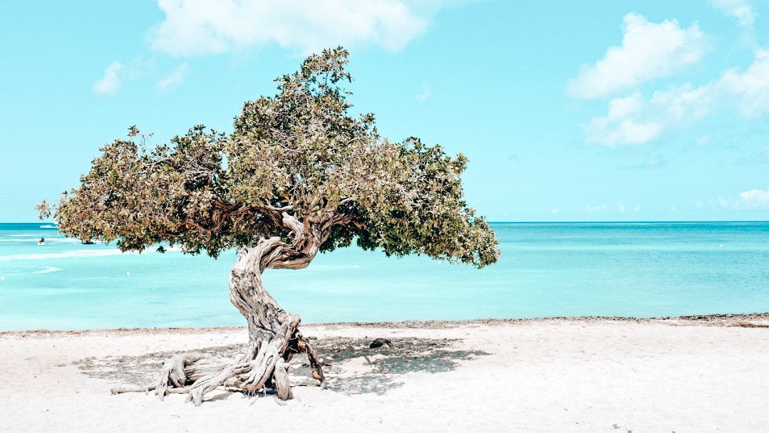 Aruba