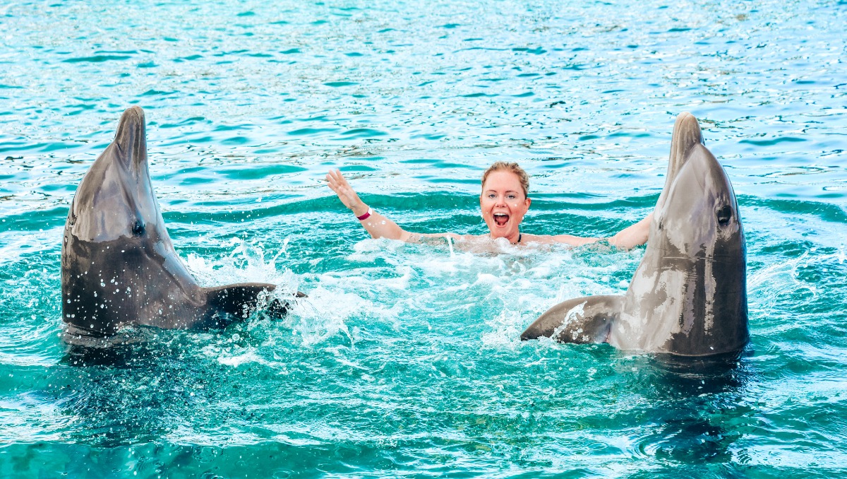 Raad complicaties Inademen Zwemmen met dolfijnen Curaçao | Kim around the World