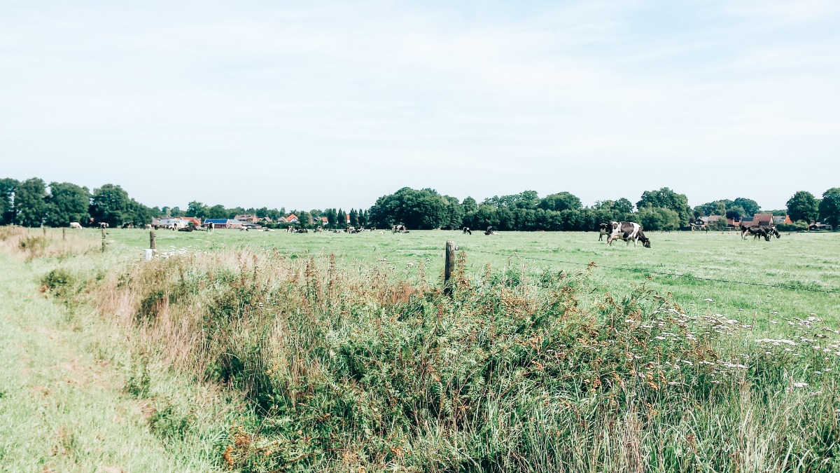 Twente augustus 2017